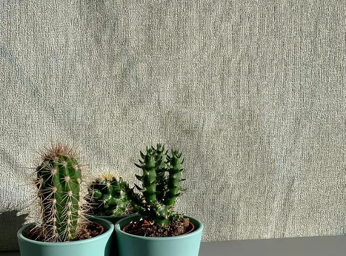 Marti' S House Daire *